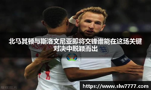 北马其顿与斯洛文尼亚即将交锋谁能在这场关键对决中脱颖而出